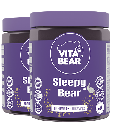 Vita Bear Sleepy Bear 2'li Paket